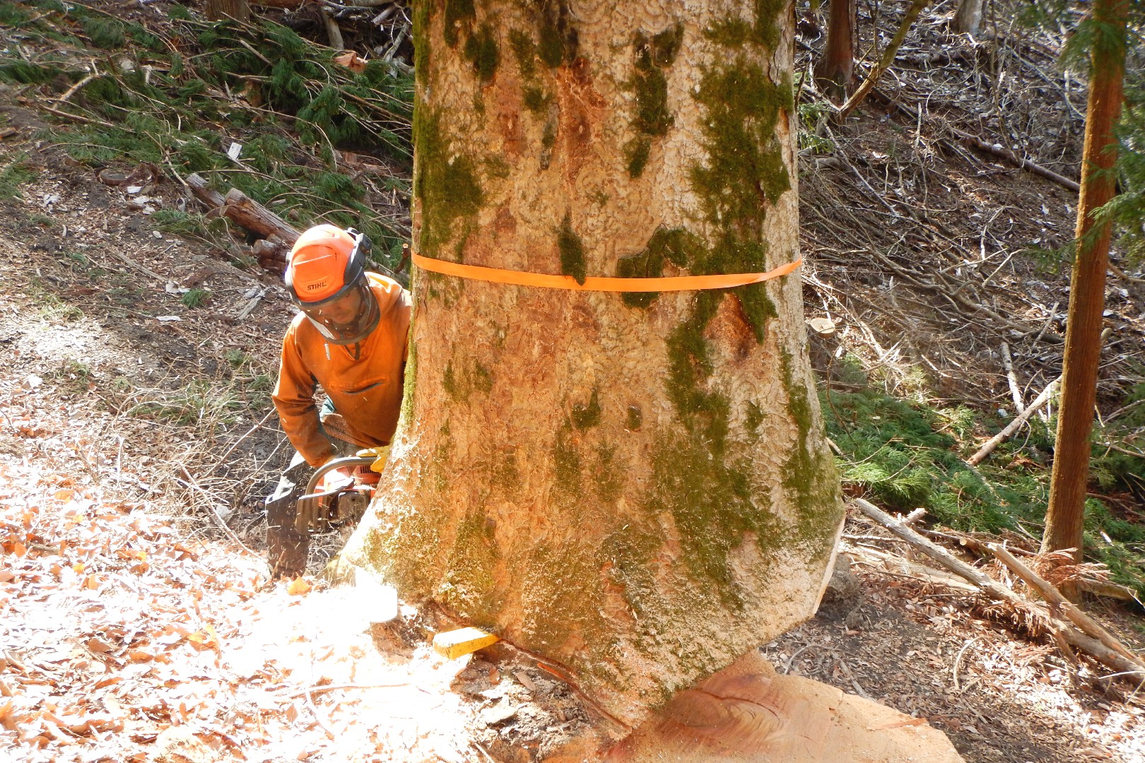 [本社]
次世代への山づくりに挑戦！規模拡大のため新しい仲間を募集します
【充実した研修制度／賞与計4ヶ月分】