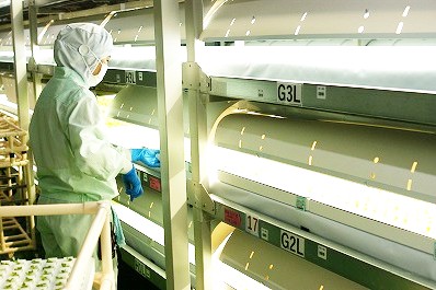 新しい発想と科学技術でビジネスを拡大。完全閉鎖型植物工場で栽培管理スタッフを募集！
【通勤手当あり／年間休日108日】