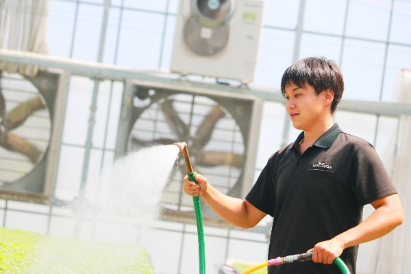 日本の農業に革命を。高品質な野菜苗の生産を通じて笑顔を届けましょう！@愛媛県
【若手活躍中／スタンダード上場企業】