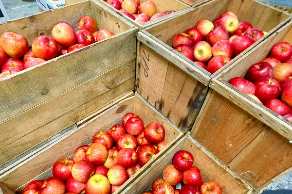 農業ベンチャーの海外輸出セールスリーダーを募集！
【フレックスタイム制／スキルアップ支援多数】