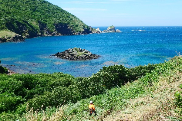【未経験OK／I・Uターン歓迎】キャリアチェンジは隠岐島前で。百年先の未来をその手で育む、林業スタッフ募集