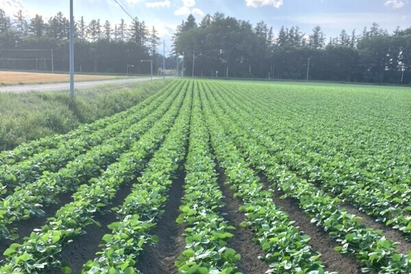 【年間休日120日以上／ワークライフバランス◎】国内トップレベルの肥料製造販売会社◎農業資材の提案営業職を募集！（長崎・雲仙市）
