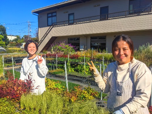 街に癒しのグリーンを供給しています。様々な植物の苗作り・出荷スタッフを募集中！
【通勤手当あり／家庭との両立◎】