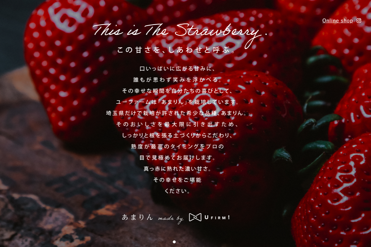 「ほがらかでオープンな農業」にアップデート。高級いちごの生産を通して広がる喜び
【スマート農業／正社員・アルバイト同時募集】