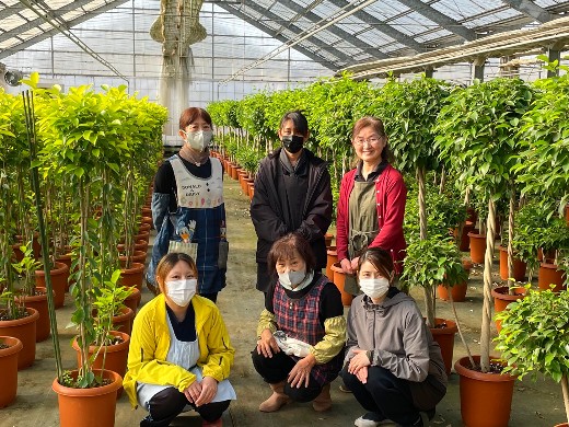 こだわり抜いた観葉植物とオリーブを栽培。シフト自由で働きやすさ抜群！
【週4日・1日3h～OK／急な休みも対応可能】