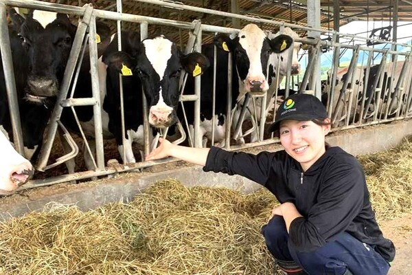 【未経験歓迎／京都勤務・単身寮あり】20代が中心のフレッシュな職場！仔牛の成長から見届けられる酪農牧場です＜資格取得支援あり／教育体制充実＞
