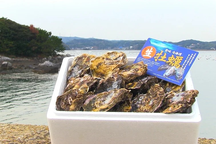 【年間休日100日】PCスキルがあればOK！壱岐の海があなたの職場です！漁協で事務・管理業務・荷受け作業をおまかせ。