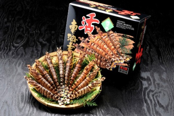 【海が好き！自然が好き！を仕事に】山口県で車エビ養殖スタッフ募集！活気ある職場で新しい一歩を踏み出そう