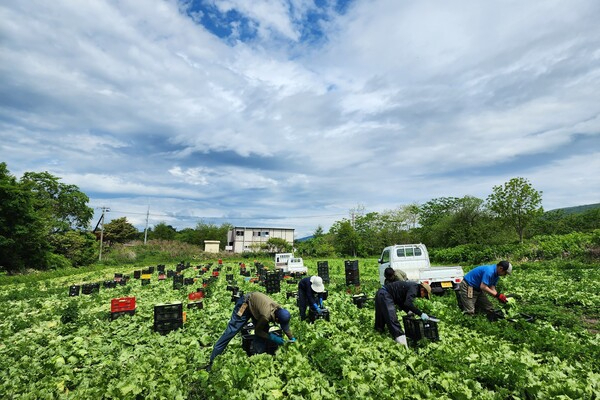 【参加費無料】北海道の広大な大地で農業のリアルを体験！2泊3日からの短期インターンシップ募集！