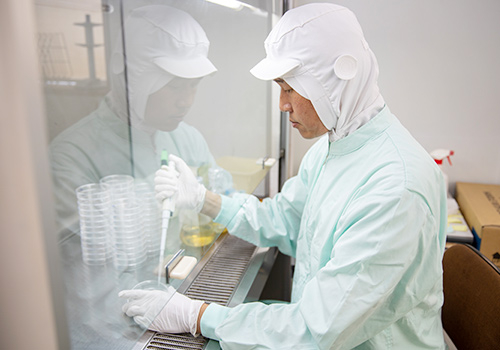 【残業ほぼ無し】未経験から商品開発にも関われる、品質管理スタッフを募集。「梅干しならウメタ」と愛される会社で活躍しませんか？