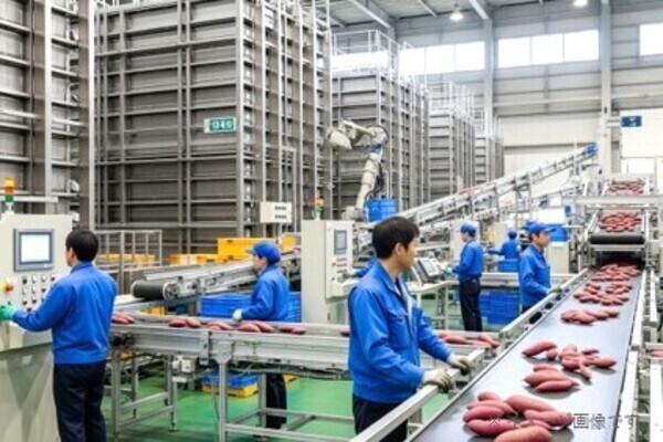 【圧倒的なロケーション／ワークライフバランス◎】都会の喧騒を離れ、「なりたい自分」を実現◎さつまいも総合企業で管理や出荷作業を担当（宮崎勤務）