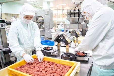 あなたの作った梅干しが全国の食卓へ！創業80余年の老舗企業で、日本の食文化を支える生産作業員のお仕事です。
【未経験OK・残業ほぼ無し】