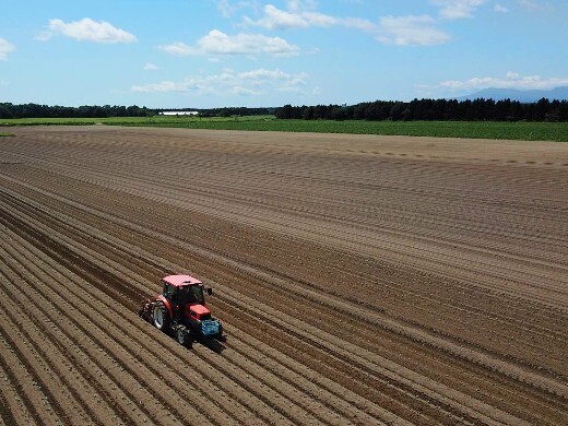 加工用トマト収穫量は北海道No.1！有機栽培なども実践し日本の食を守っていきます。
【連休あり／手当充実／有機JAS認定企業】