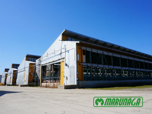 [2027卒対象エントリー]
養豚・養鶏で夢を叶えたいあなたへ！高い畜産技術と業界トップクラスの働きやすさで畜産のプロへ導きます