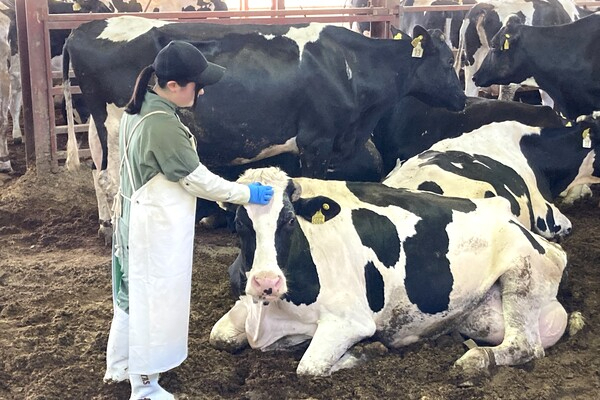 ［2027卒対象］
【Web説明会を毎週開催】北海道で2つの酪農ギガファームを運営！山形県でも先進的な牧場がいよいよ本格稼働！／酪農牧場スタッフ