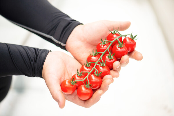 【完全週休2日／年休110日】大手4社出資の安定基盤！次世代農業でマネジメントスキルを磨く出荷管理スタッフ募集