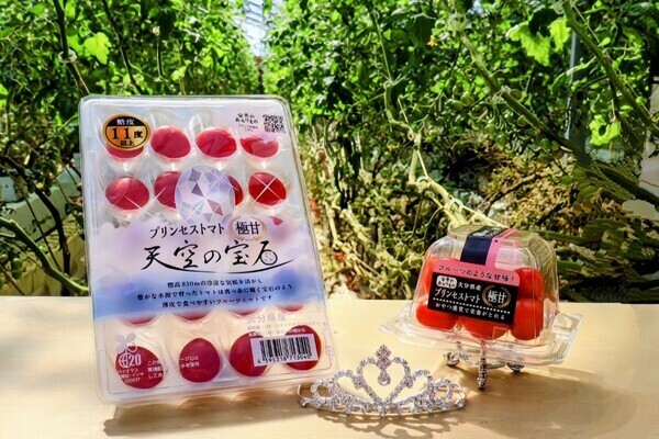 大和証券グループが手掛けるトマト農場で、農場管理者を募集！糖度10度のプリンセストマトが武器。
【年間休日111日／各種手当あり】