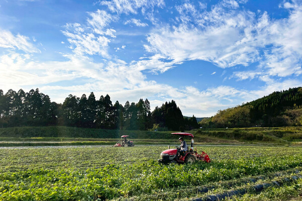 ［2026卒対象］
【平均年齢30歳】宮崎発の百姓ベンチャーで世界に挑む総合職！国産さつまいもの新たな販路を切り拓く挑戦者募集。