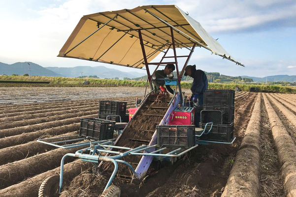 ［2027卒対象］
【手当充実】畑から海外営業まで！あなたの「やりたい」が見つかる総合職／宮崎発 百姓ベンチャーでキャリアをスタート！