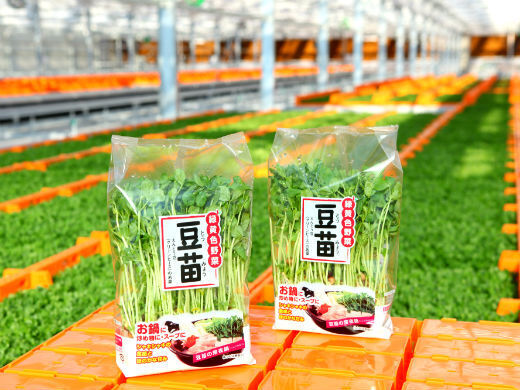 【経験者募集】安定企業で組織づくりに挑戦！ルーティンで終わらない、事業拡大を支える総務スタッフ募集。