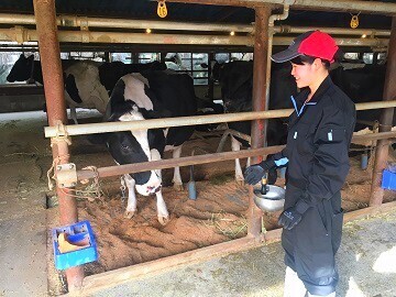 八ヶ岳ブランド「シュッポッポ牛乳」。この生乳を生産する酪農家のための酪農ヘルパー募集
【残業なし／年間休日110日前後】