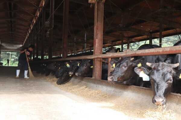 ［2027卒対象］
子牛を育み、ブランド牛を食卓へ。一頭一頭と丁寧に向き合える、人が自慢の職場です。
【手当充実／社宅あり】