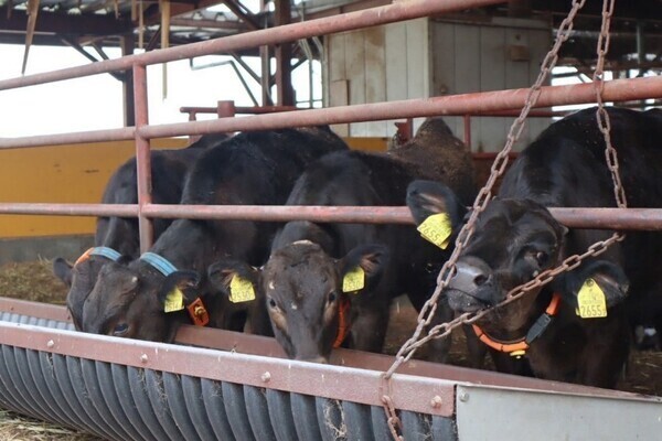 「日本一働きやすい牧場」が合言葉。命の創造を担う家畜人工授精師。
【手当充実／借上げ社宅あり】