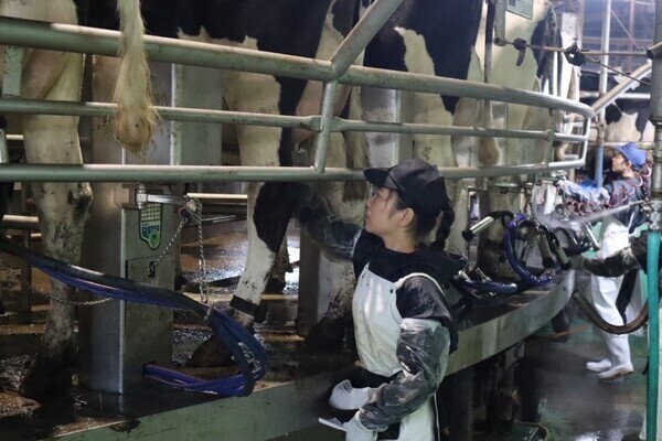 ［2026卒対象］
目指すは「日本一働きやすい牧場」！牛にも人にも優しい環境で、社会人生活をスタートしませんか。
【手当充実／社宅あり】