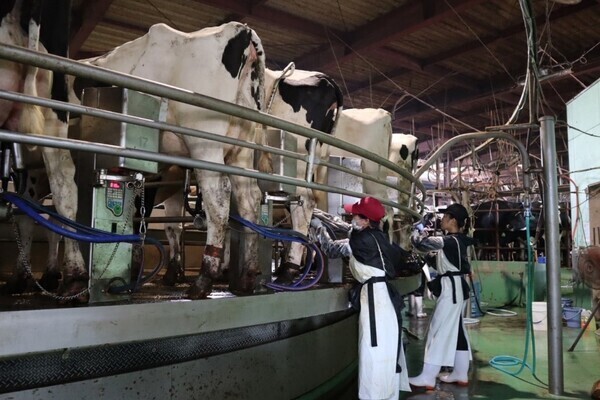 ［2027卒対象］
子牛の育成からブランド牛の仕上げまで。愛情と責任で、牛の一生に寄り添う仕事です。
【手当充実／社宅あり】