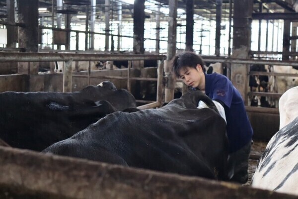 ［2026卒対象］
目指すは「日本一働きやすい牧場」！牛にも人にも優しい、最先端のスマート酪農に挑戦しませんか？
【手当充実／社宅あり】