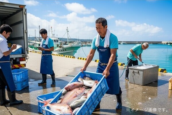 【手当充実／残業月5h程度】沖縄の豊かな海で地域の漁業を支える仕事に挑戦！新鮮な魚を消費者へ届けるやりがい◎