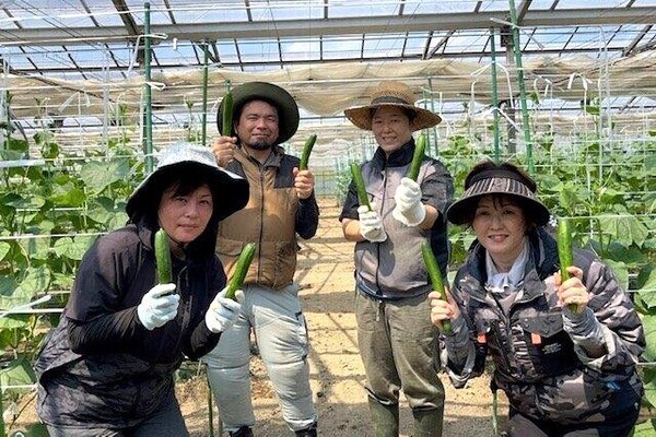 【柔軟シフト／1日3h～】穏やかな雰囲気のきゅうり農園で農業に挑戦！あなたらしい働き方を見つけませんか？