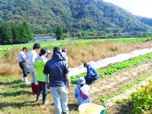 [地域おこし協力隊]
有機野菜の栽培を推進する吉賀町でセカンドライフを歩みませんか？集荷・販売をとおして地域を支えるお仕事◎
【まずは見学・体験からでOK／月16日勤務】