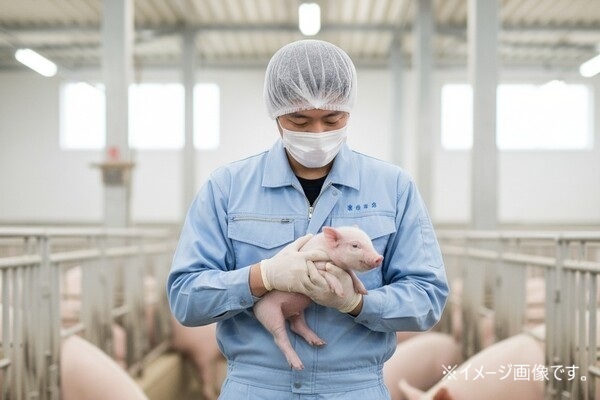 【残業ほぼ無し】その愛情が最高の「おいしい」に変わる。未経験から育てる、ブランド豚『名水もちぶた』（千葉県市原市）