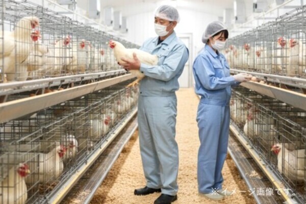  [2026卒対象エントリー] 
鶏の飼育から加工・販売まで！あなたの「想い」と「挑戦心」が多様なキャリアになる場所