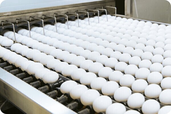 【30代・40代活躍中】「森のたまご」の工場運営スタッフ募集！将来の管理職として目指せるポジションです（宮城県・茨城県・静岡県）