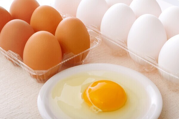 【年休116日】マンツーマン指導で安心！「森のたまご」グループの肥料製造スタッフ／未来の拠点責任者候補（茨城・岡山・静岡・福島）