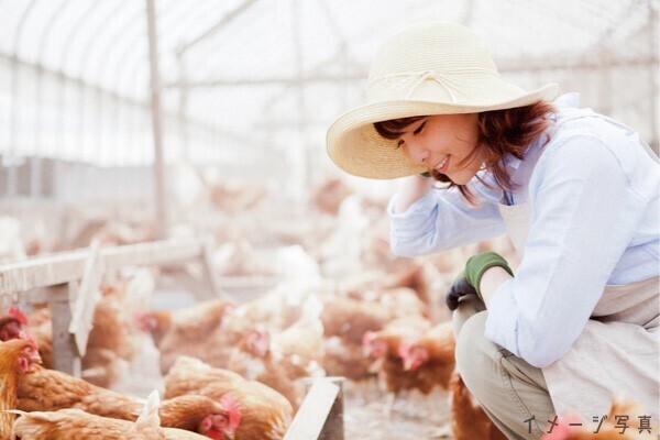 【各種手当・賞与あり】鶏にも人にも優しい養鶏場◎こだわり鶏ブランドの加工スタッフを募集