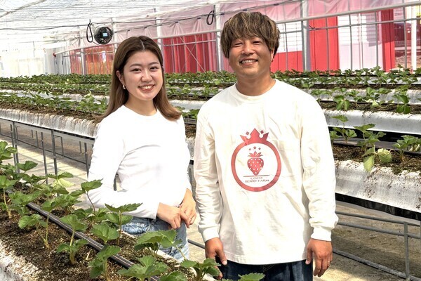 【午前中のみの短時間／土日勤務できる方歓迎】いちご直売所を新規オープン！いちごの収穫やパック詰め、接客など楽しくお仕事◎
