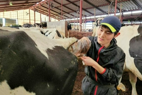 【教育体制充実／平均年齢28歳】最新技術×チーム力で酪農のプロに！働きやすさにこだわる富士山麓の酪農ファーム