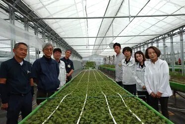 ベビーリーフの栽培指導から納品まで担当。障がいがある方々の成長をサポートしませんか【休暇取得実績130日以上】＠埼玉