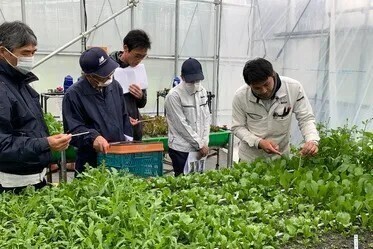 「教えるのが上手」が活かせる！障がいがある方の「できた！」を育てる、ベビーリーフ栽培指導スタッフ【休暇取得実績130日以上】＠神奈川