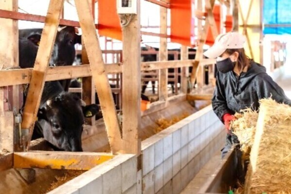 [2026卒対象エントリー]
「とにかくやってみたい！」を尊重◎力仕事軽減の設備で誰もが働きやすい乳肉複合牧場です
【一富士農場（静岡県）勤務】