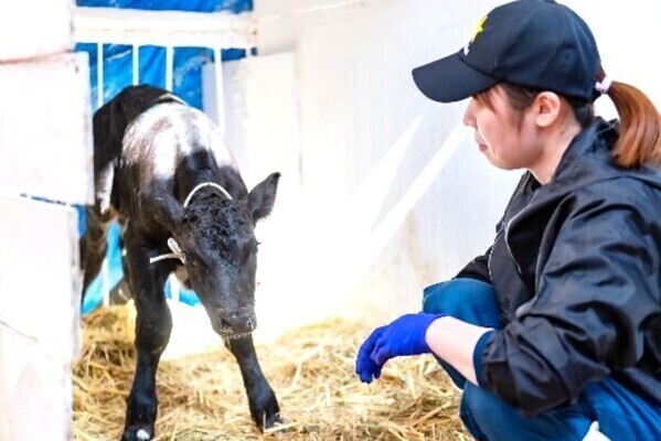 [2027卒対象エントリー]
「挑戦したい」を叶える指導環境！最新設備と風通しの良さが魅力の乳肉複合牧場で働く
 【一富士農場（静岡県）勤務】