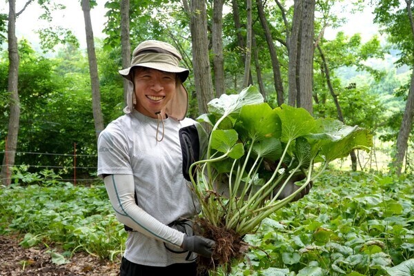 [地域おこし協力隊]
生産量日本一！ベテラン農家の下、“畑わさび”生産の新たな担い手を目指して学びませんか？
【農地の取得不要／年間125日休み】