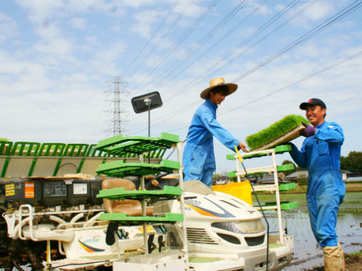 200haの広大な農場で、大型機械を駆使し多品目を栽培！ダイナミックな農業をしたい方は必見！
【6次産業化／減農薬栽培】