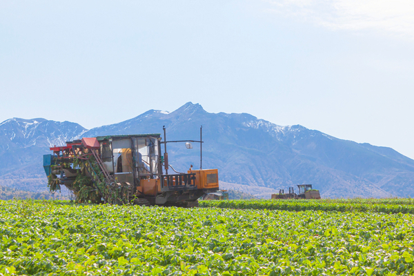 4部門からなる農業生産法人の農産部門。北海道ならではのスケールを生かし希少畑作物や大量の野菜を栽培・出荷。
