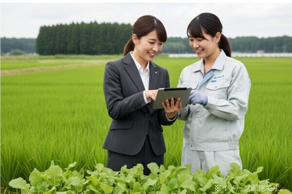 【アメリカ駐在チャンスあり／高待遇】100カ国に種を届ける、かぼちゃ新品種開発プロジェクトの統括者