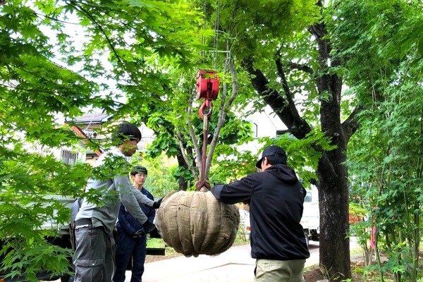【手当充実／ほぼ残業なし】自然と真剣に向き合い、街と暮らしを緑で豊かにするクリエイター