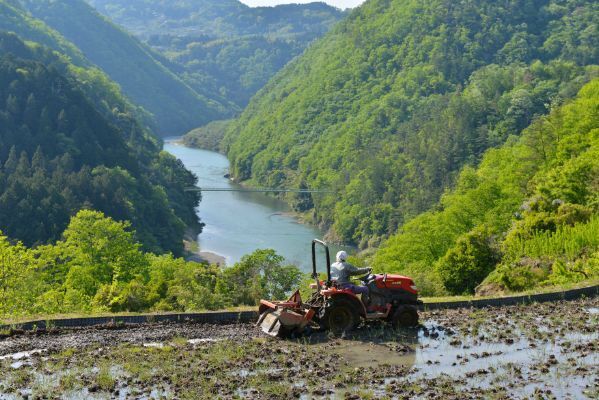 [地域おこし協力隊]
長野県泰阜村で新しい農業に挑戦。令和8年設立の新法人にて、ベテラン農家と共に汗を流す仲間を求む！
【未経験OK／賞与あり】